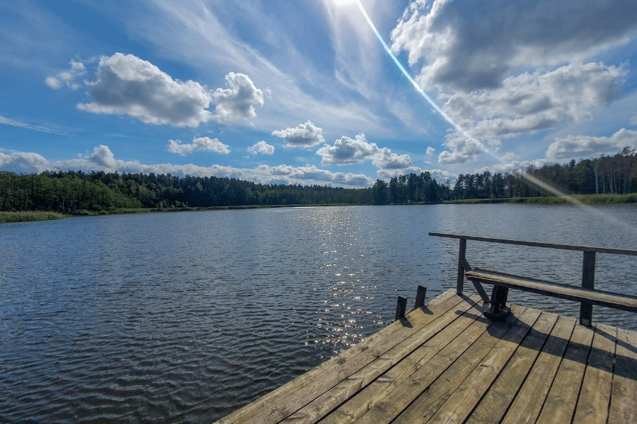 wood dock going out into a large lake surrounded by wooded areas